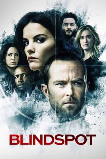 Blindspot: Mapa zbrodni Online