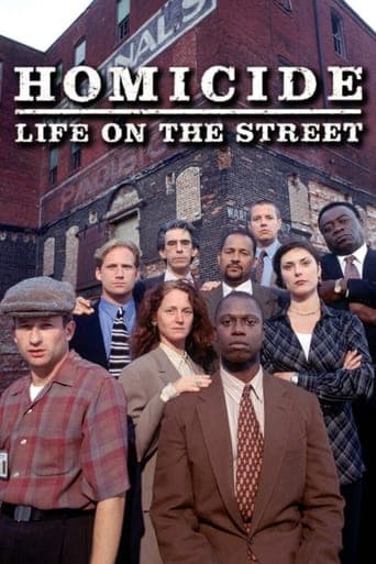 Homicide: Life on the Street Online