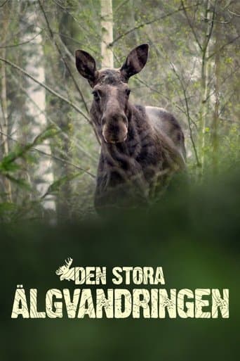 Den stora älgvandringen Online
